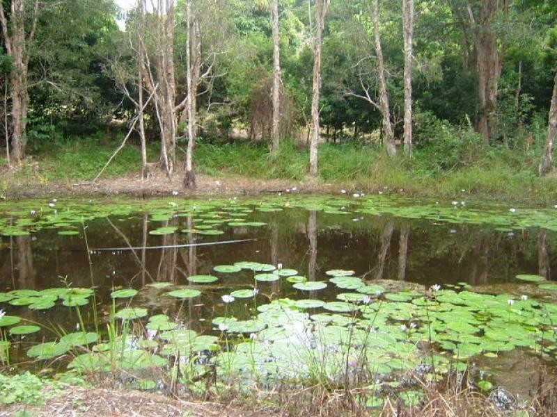 Lot 1 Mango Court, Doonan QLD 4562