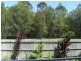 Tewantin QLD 4565