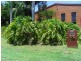 27 Toulambi St, Noosa Heads QLD 4567