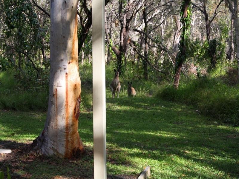 2/251 Eumarella Rd, Weyba Downs QLD 4562