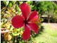 Lot 2 251 Eumarella Rd, Weyba Downs QLD 4562