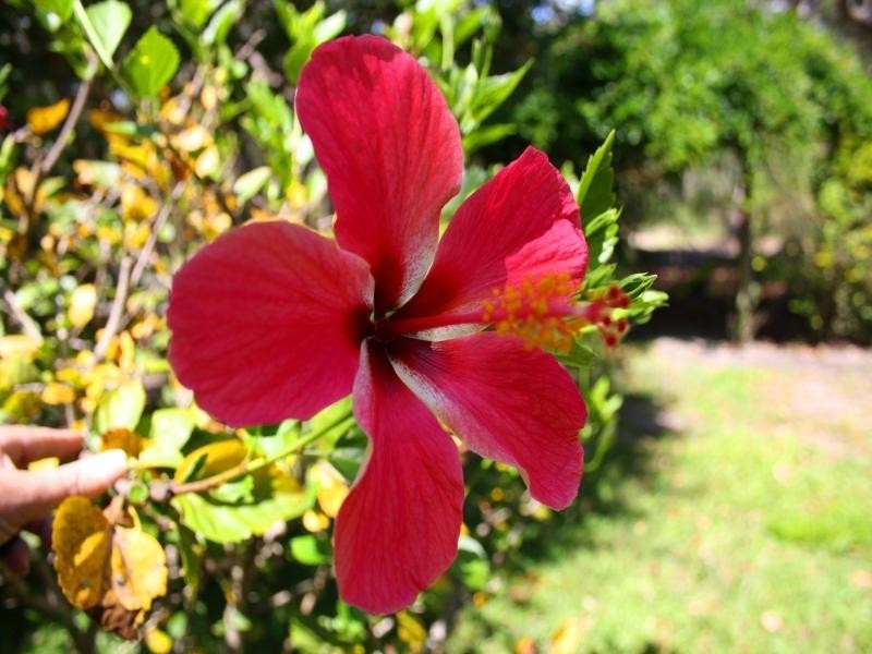 Lot 2 251 Eumarella Rd, Weyba Downs QLD 4562