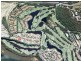 540/61  Noosa Springs Drive, Noosa Heads QLD 4567