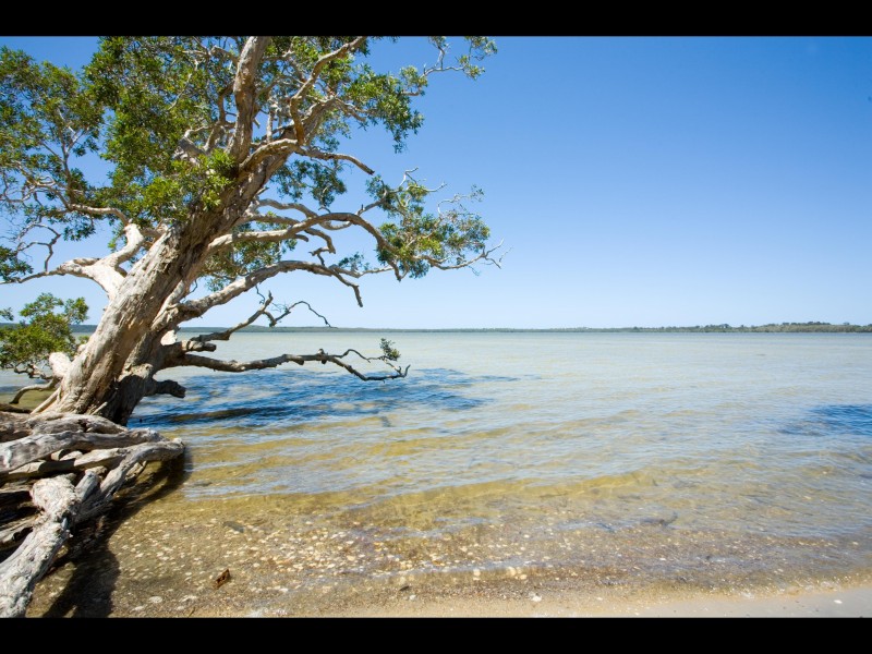 252 Eumarella Road, Weyba Downs QLD 4562