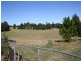 74 Frogmouth Lane, Cooroy Mountain QLD 4563
