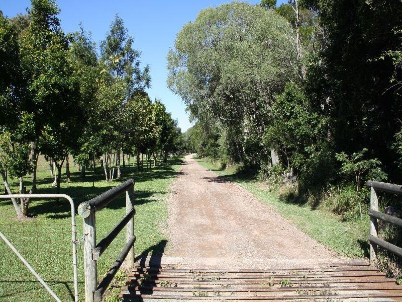 74 Frogmouth Lane, Cooroy Mountain QLD 4563