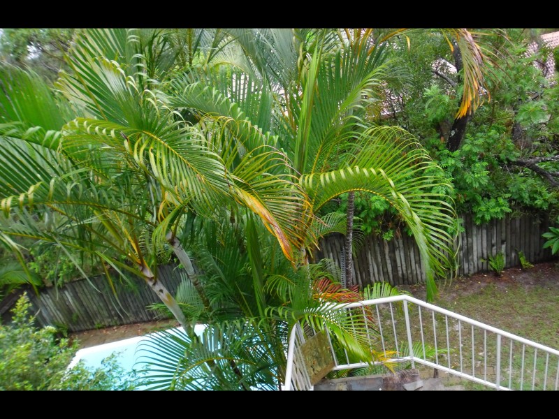 2/11-13 Katharina Street, Noosa Heads QLD 4567