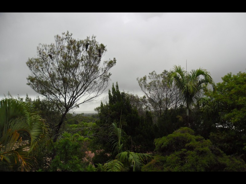 2/11-13 Katharina Street, Noosa Heads QLD 4567