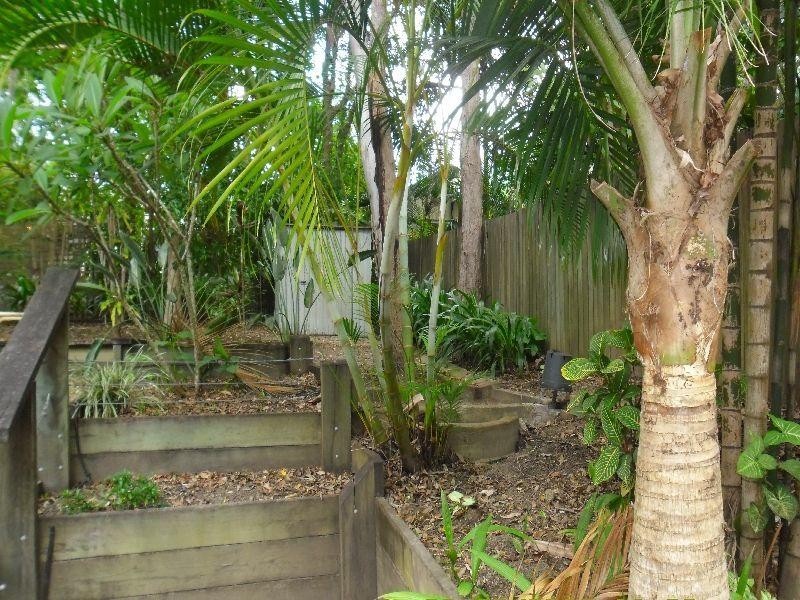 10 Morning Glory Drive, Cooroibah QLD 4565