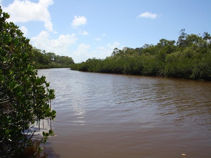 5  River  Edge Court, Tewantin QLD 4565