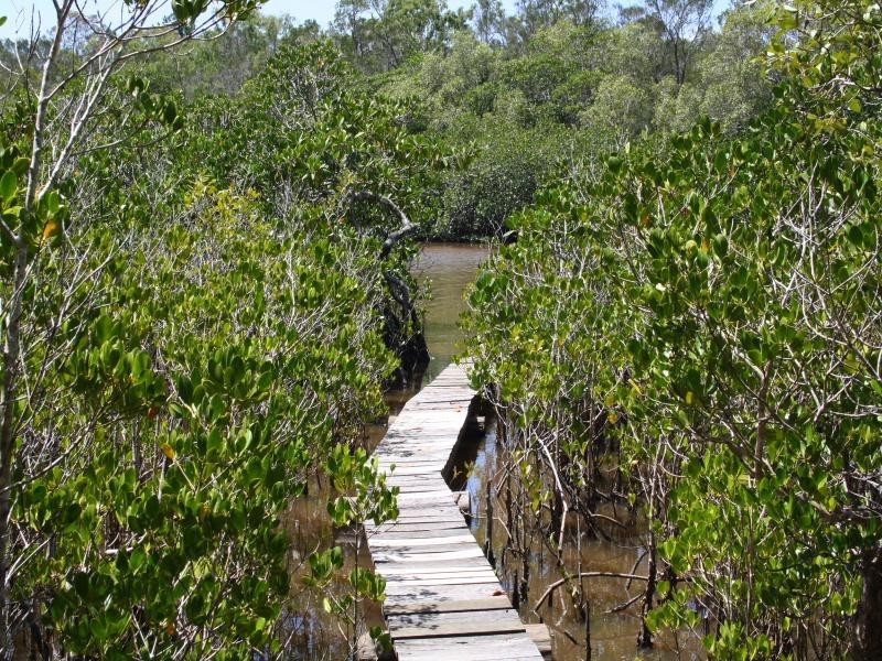 5  River  Edge Court, Tewantin QLD 4565