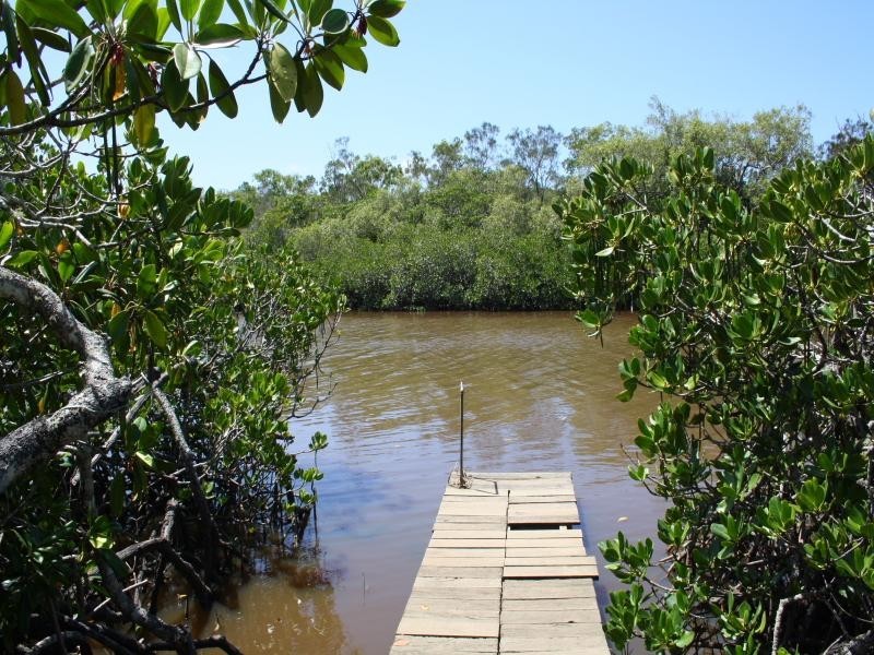 5  River  Edge Court, Tewantin QLD 4565