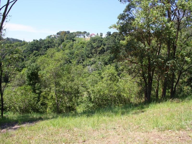 L71 Lilly Pilly Rise, Eumundi QLD 4562