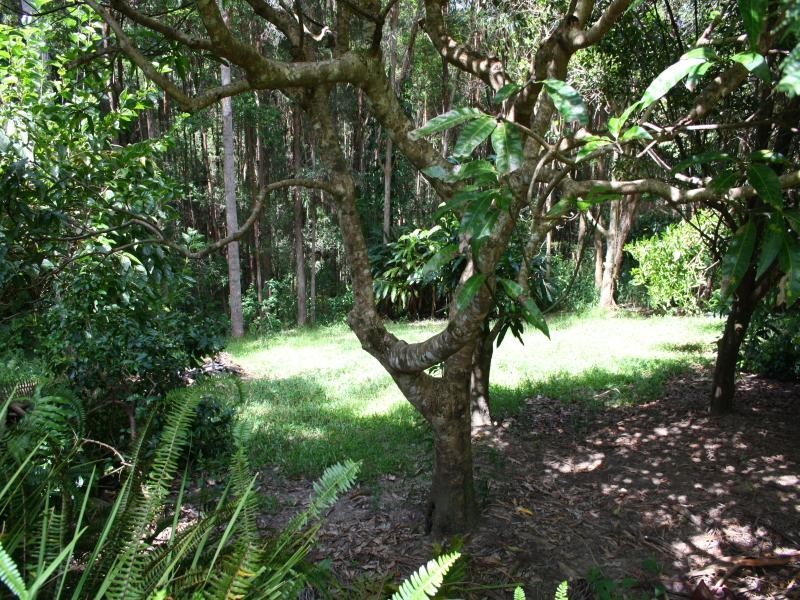 127 Sunrise Rd, Tinbeerwah QLD 4563