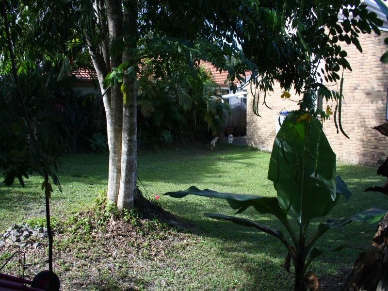 72 Lakes Entrance Blvd, Noosaville QLD 4566