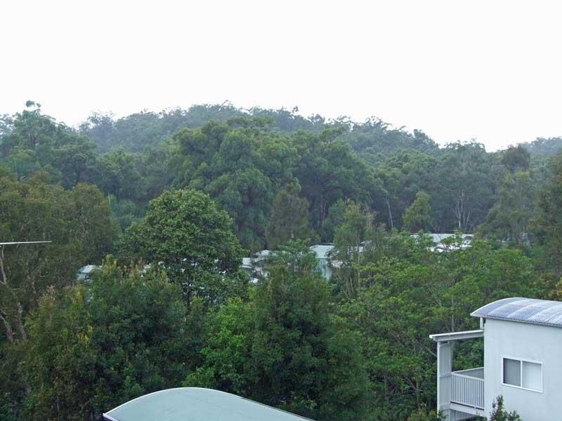 35 Miawela Street, Norman Park QLD 4170