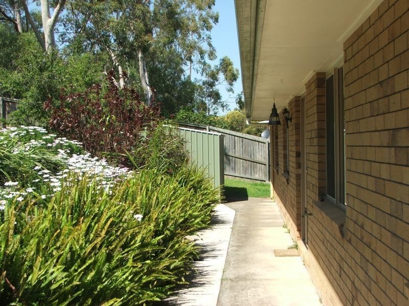 47 Gannon Avenue, Manly QLD 4179