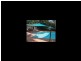 Reedy Creek QLD 4227