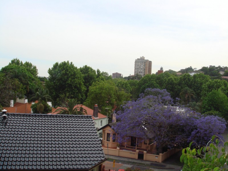 12/21 Manning Road, Double Bay NSW 2028