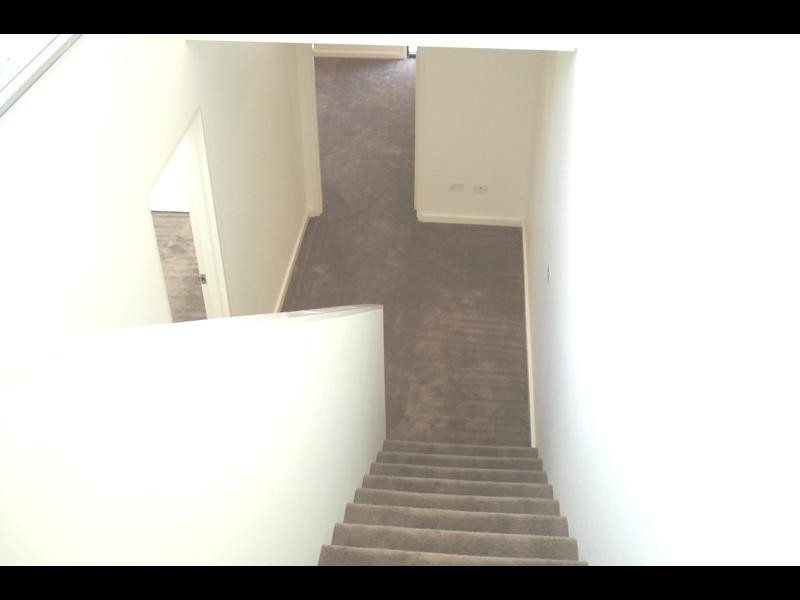 69-87 Dangar Street, Randwick NSW 2031