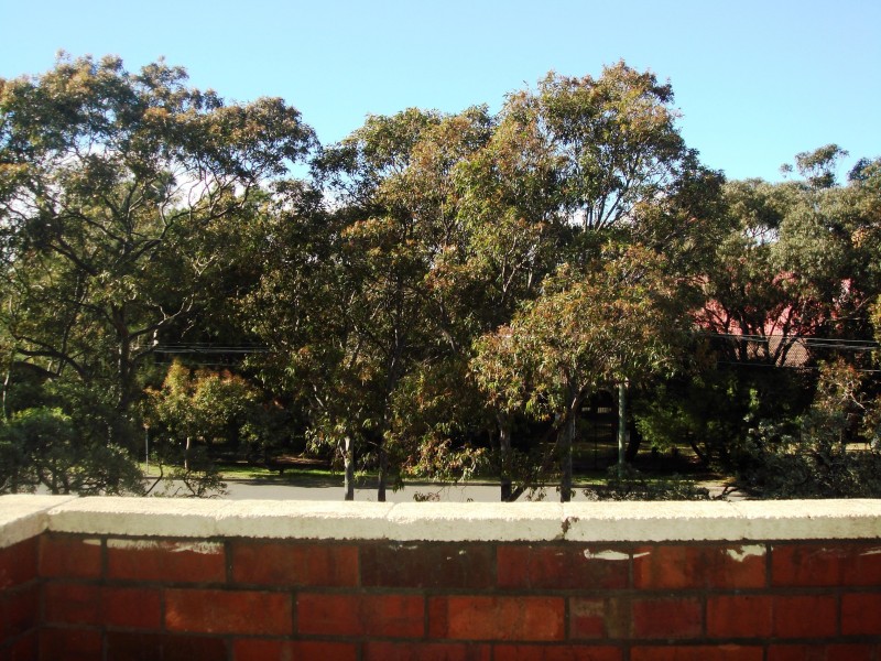 10/33 Dalley Ave, Pagewood NSW 2035