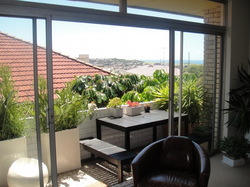 11/15-17 Denham Street, Bondi NSW 2026