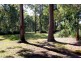 25 Hilliards Park Drive, Wellington Point QLD 4160