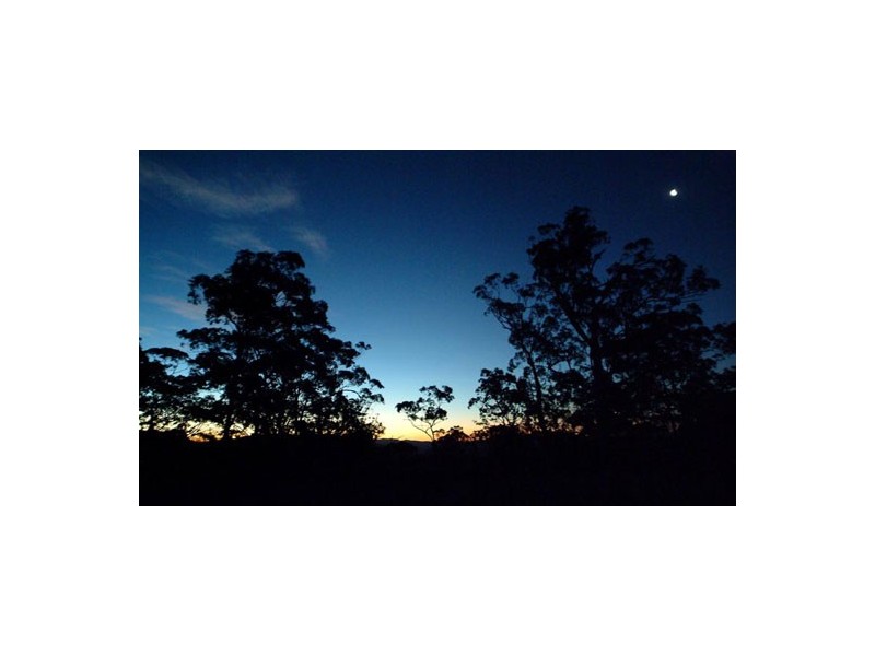 137 Austinville Road, Bonogin QLD 4213