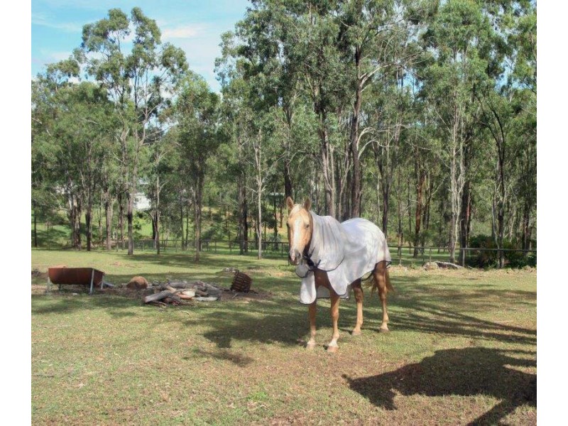 12 Paine Place, Kooralbyn QLD 4285