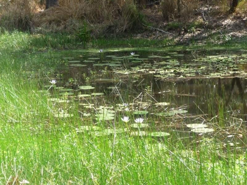 162 Boyle Road, Belli Park QLD 4562