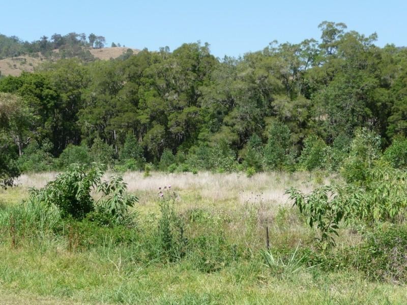 43 Walli Creek Road, Kenilworth QLD 4574