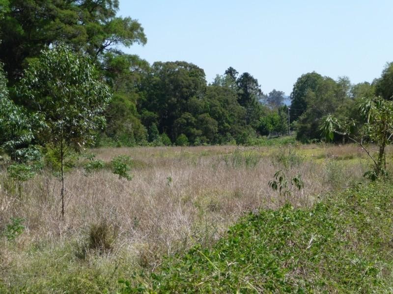 43 Walli Creek Road, Kenilworth QLD 4574