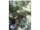 Imbil QLD 4570