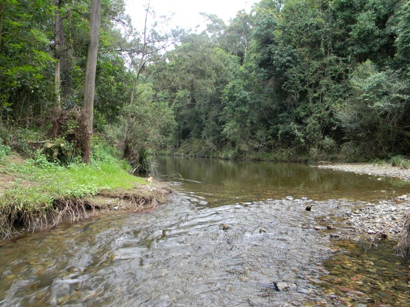 Cambroon QLD 4552