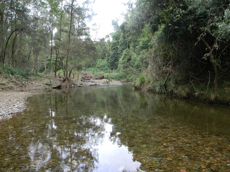 Cambroon QLD 4552