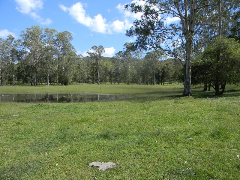 Belli Park QLD 4562