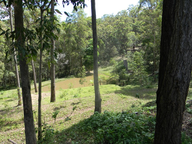 Belli Park QLD 4562