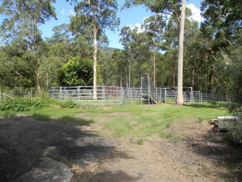 Belli Park QLD 4562