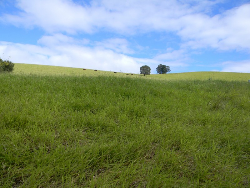 Brooloo QLD 4570