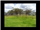 844 MASSIE-WILLOWVALE ROAD, Massie QLD 4370