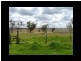 844 MASSIE-WILLOWVALE ROAD, Massie QLD 4370
