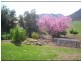 185 DENMARK LANE, Swanfels QLD 4371