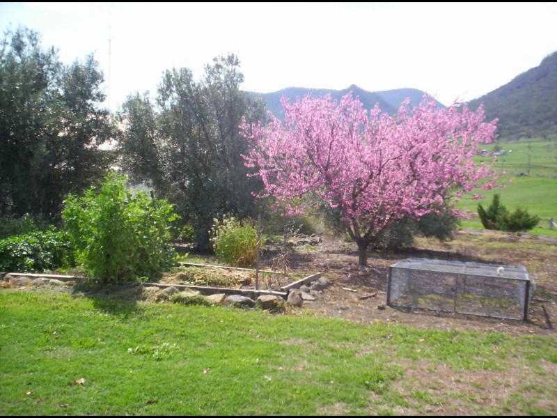 185 DENMARK LANE, Swanfels QLD 4371