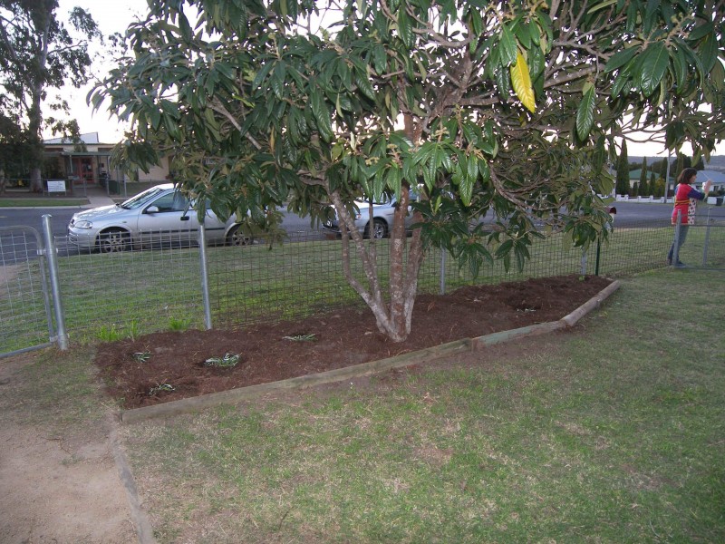 18 GEORGE STREET, Warwick QLD 4370