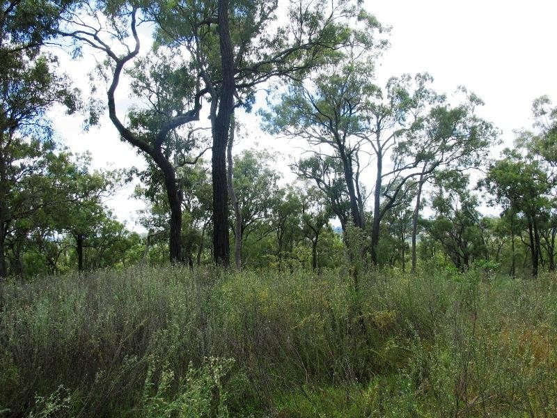 Pratten QLD 4370