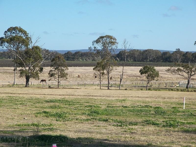 Warwick QLD 4370