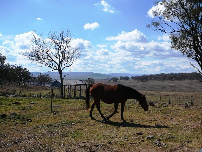 Warwick QLD 4370