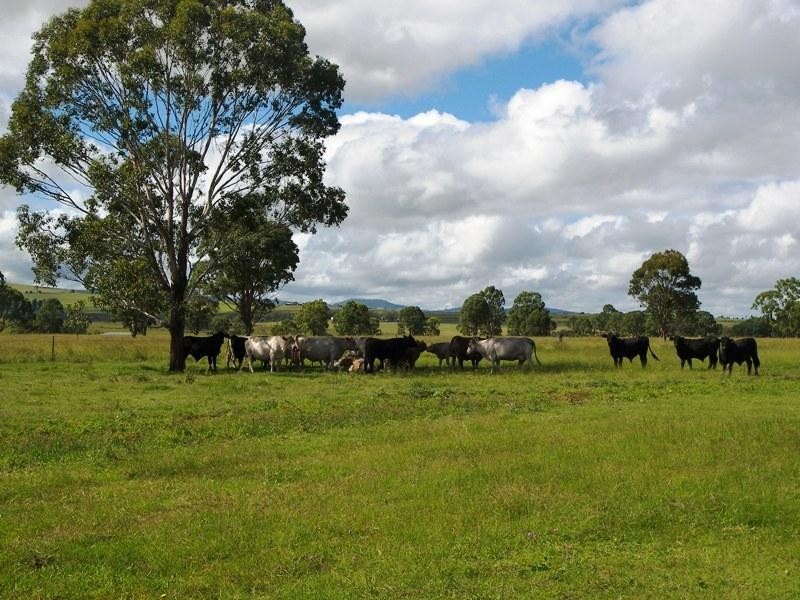 Warwick QLD 4370