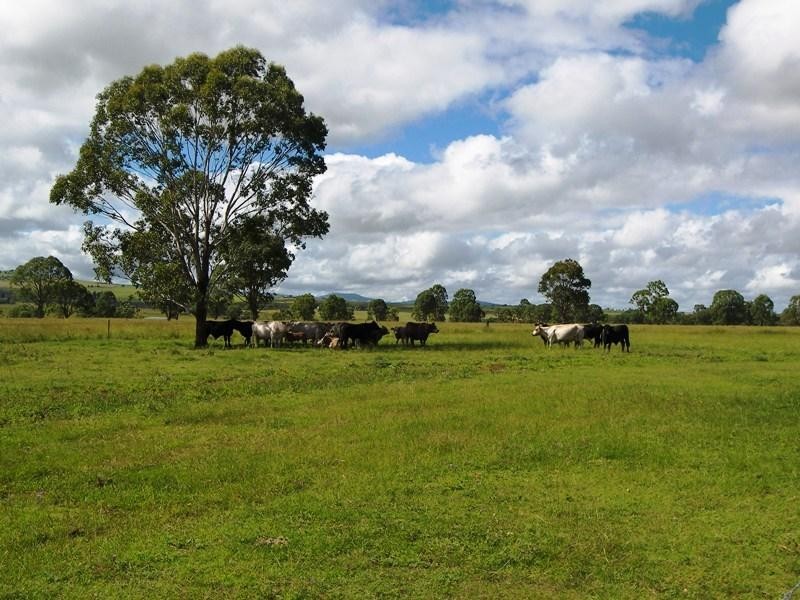 Warwick QLD 4370