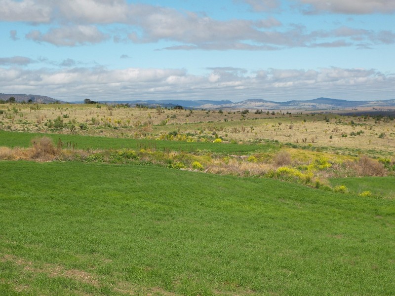 Warwick QLD 4370